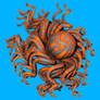 Scary Bicolor Octopus