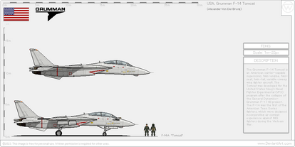 USA, F-14A Tomcat