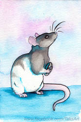 Save a Shelter pet - Art Sale - Rat round! (FINAL)