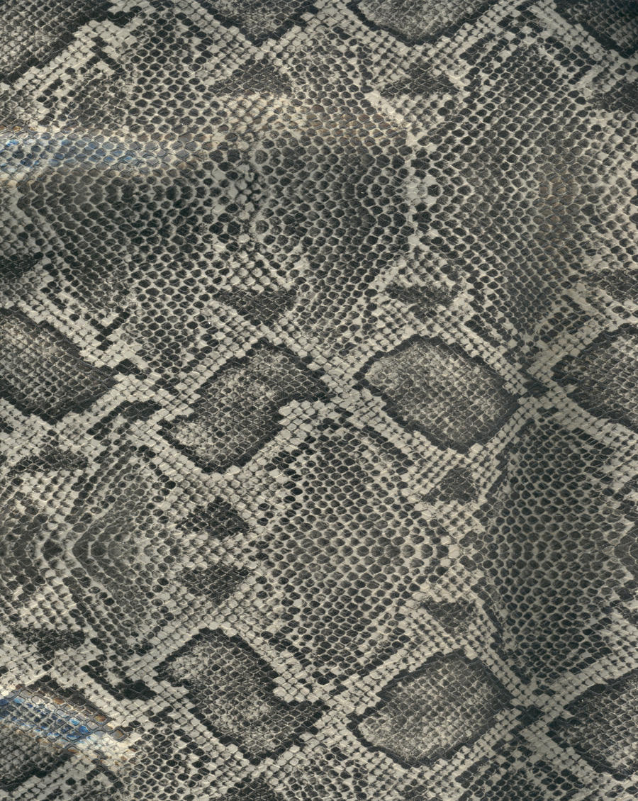 Snake skin - gray and black