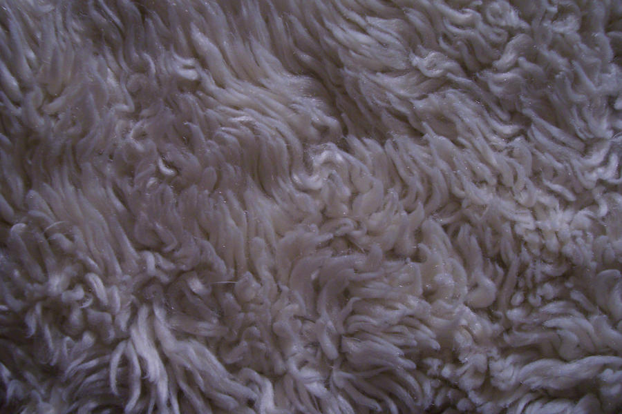 Fake wool fluff texture