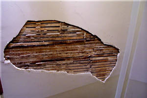 Plaster slats hole in wall
