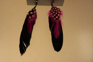 Feather Earrings stock feather