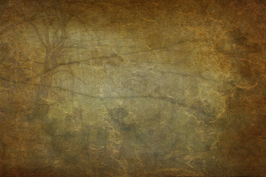 Tree Fog in Sand Storm Texture