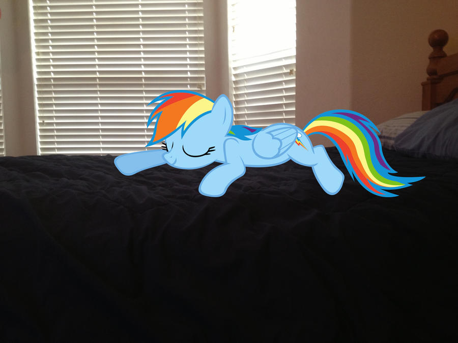 Rainbow Dash Sleeping on my Bed