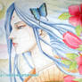 China Roses