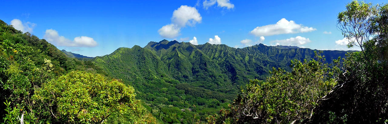 Manoa Valley Morning