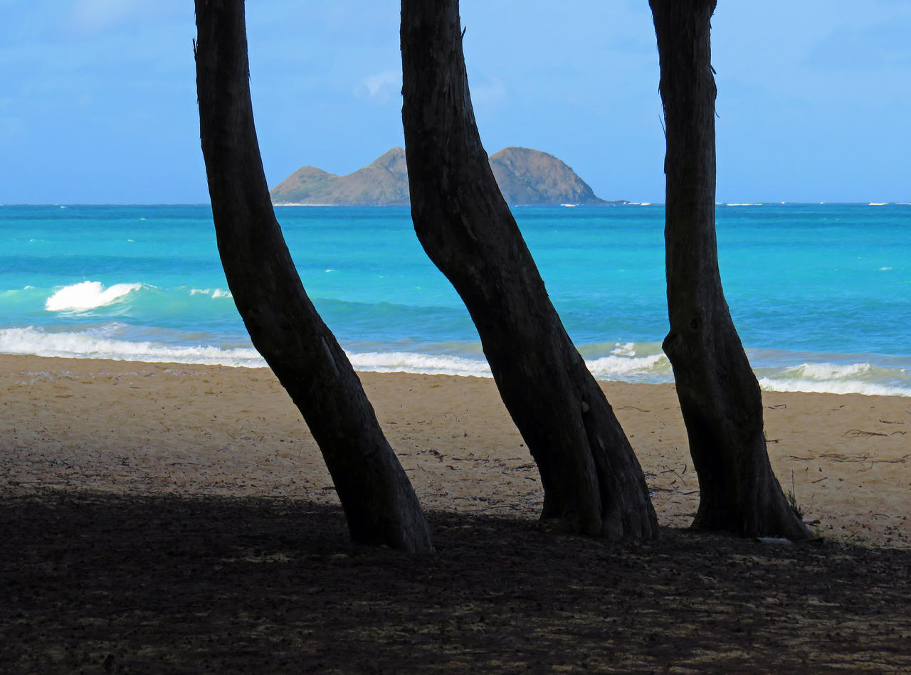 Bellows Beach by joeyartist on DeviantArt