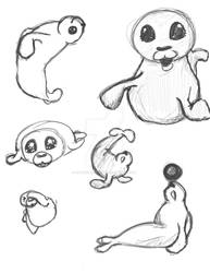 Seal Roughs 2