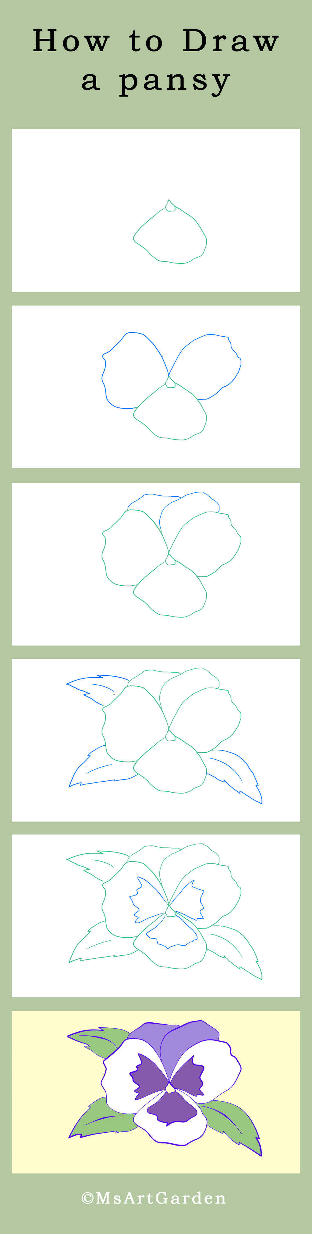 How to Draw a Pansy by MsArtGarden on DeviantArt