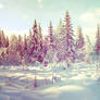 Winter wallpaper