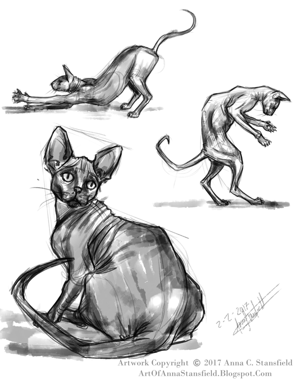 Sphynx Studies