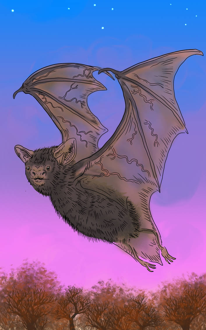 Colorful Bats Deviantart Bat by JackFitzpatrick on DeviantArt