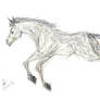 A Horse Scribble