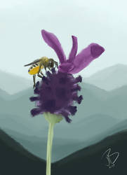 Leafcuttingbee