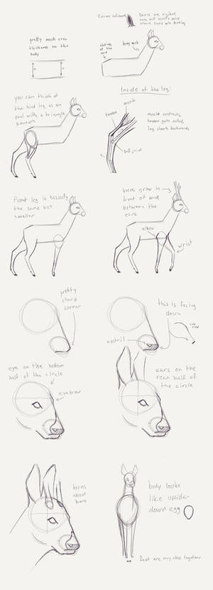 Daily 98, Deer tutorial