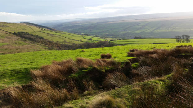 Trapping Hill nr Pateley Bridge/Gouthwaite 4