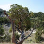 Theodore Roosevelt National Park