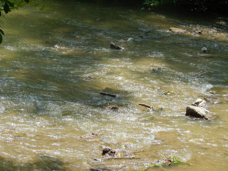 Water and Rocks