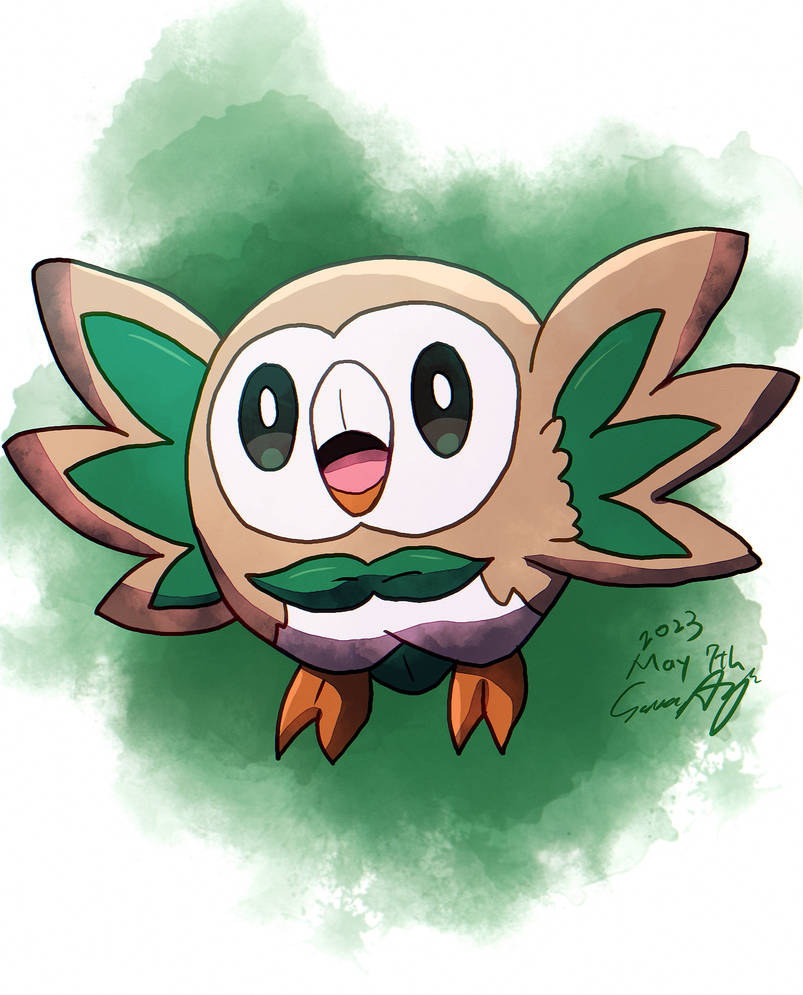 Rowlet Fighting Rowlet by sakuragi774 on DeviantArt