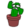 Crunking Cactus