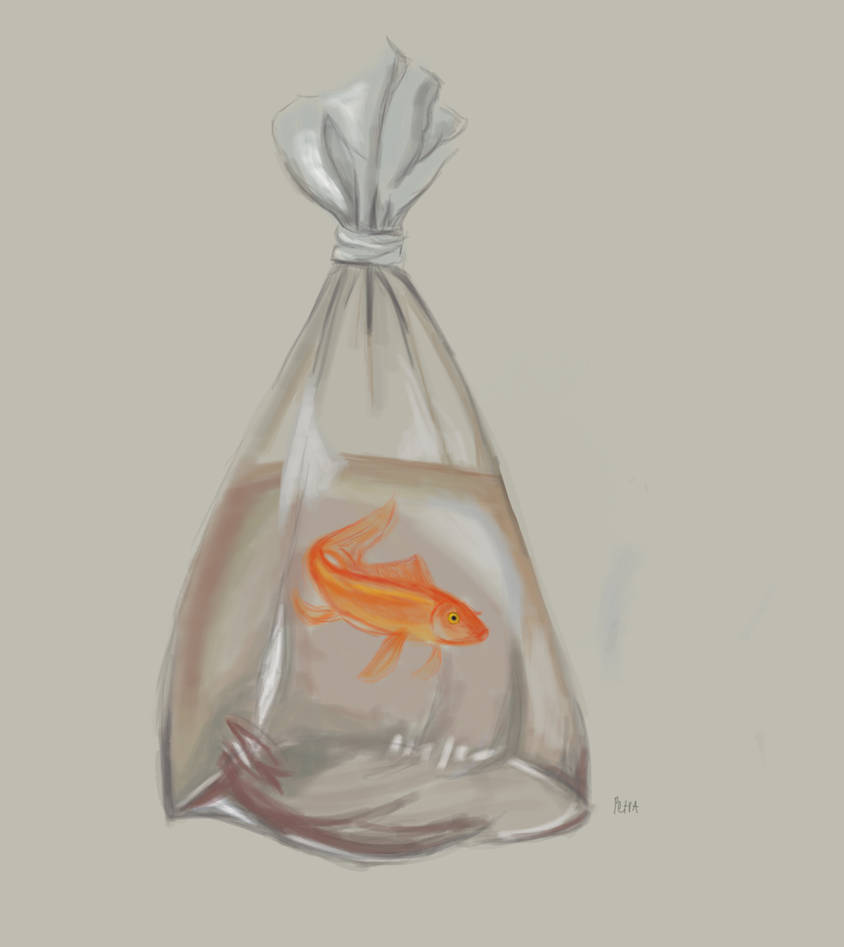 Goldfish in clear plastic bag by Flamez01 on DeviantArt