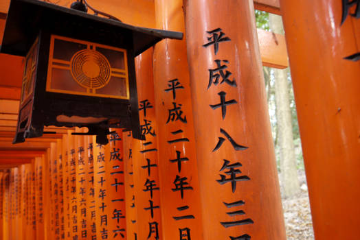 Lantern in the Torii