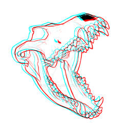 anaglyph