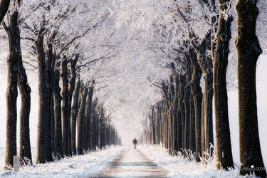Endless Winter by LarsVanDeGoor