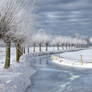 Holland ~winter~