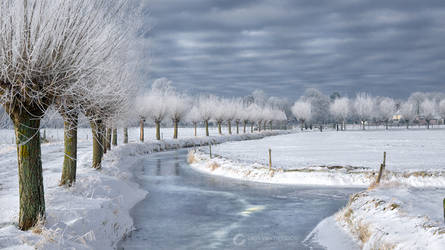 Holland ~winter~ by LarsVanDeGoor