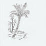 Coconut palm tree