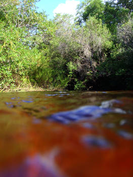 water floor