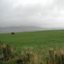 Orkney seascape 4