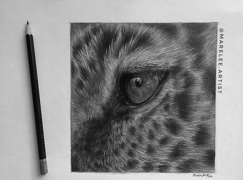 Leopard Eye