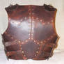 Leather armor - back