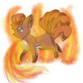 Vulpix used Inferno!