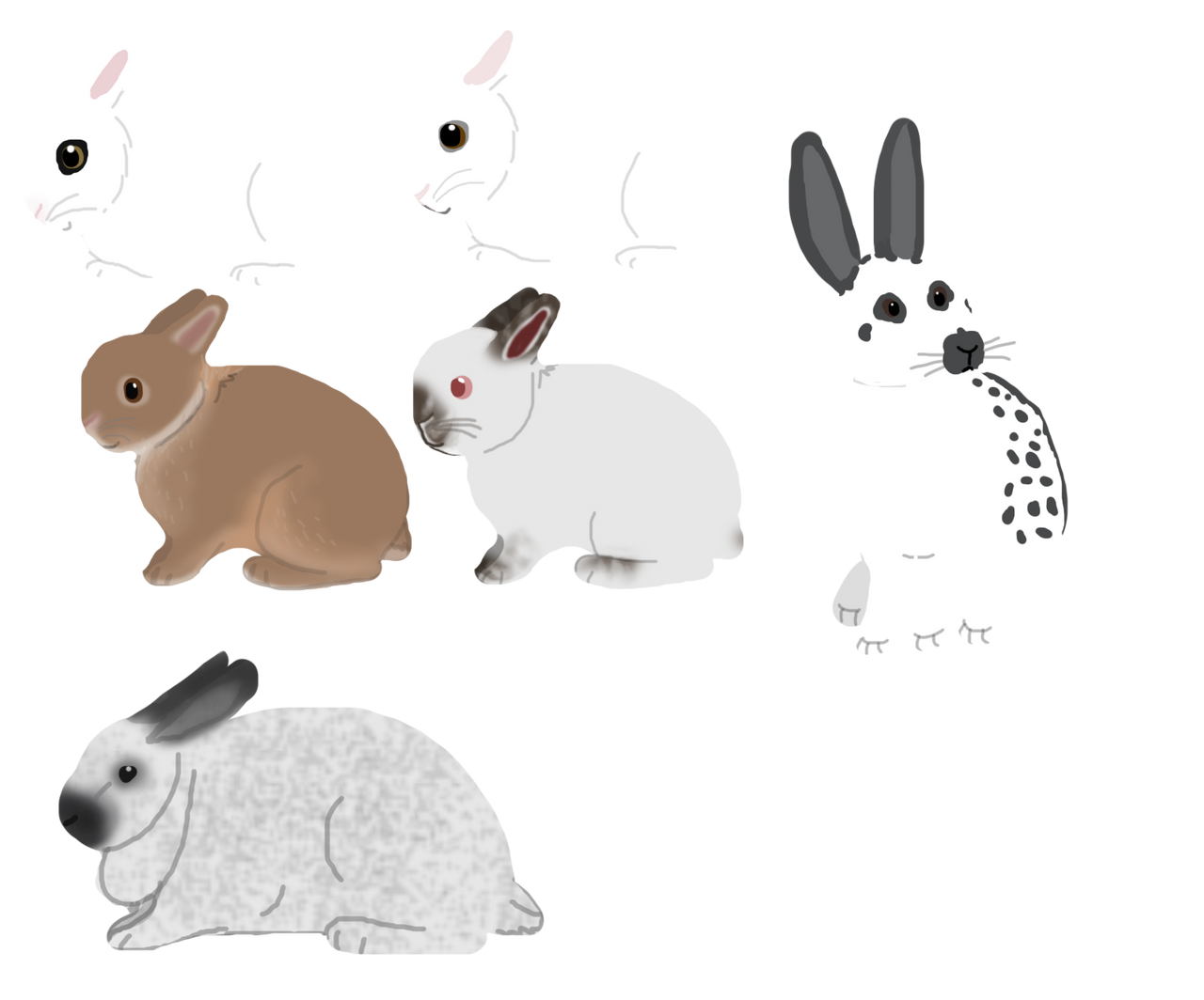 Lineless Show Rabbits For Oct Rr Rabbit Show By Arbutusridge On Deviantart Lineless Show Rabbits For Oct Rr Rabbit Show By Arbutusridge On Deviantart