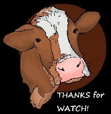 Deluxe-cow-head-clipart-picture-of-a-cow-free-clip