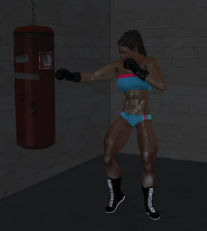 Hitting the  Heavy Bag