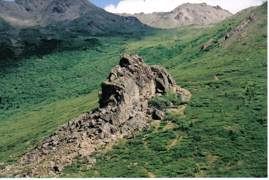 Denali Rock