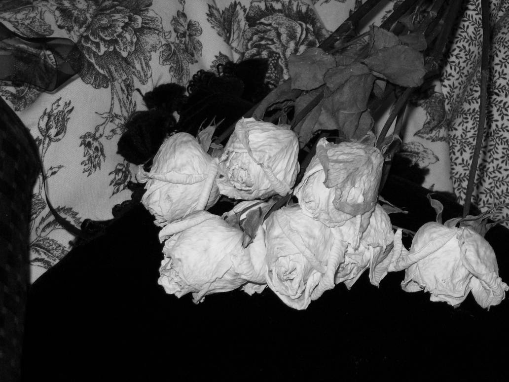 Dead Roses for Life III by IlovetheCasualties on DeviantArt