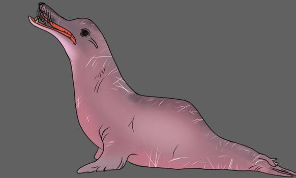 Some sorta seal that aint real