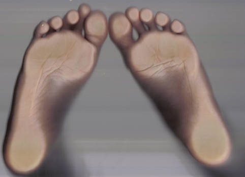 Scanned feet.