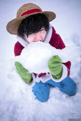 One Piece - Snowmeat by theDevil-photography