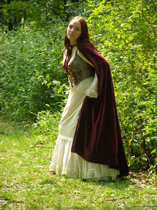 Renaissance Dress Stock 8