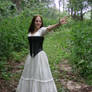 Dress and Corset Stock 11