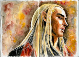 The Elvenking