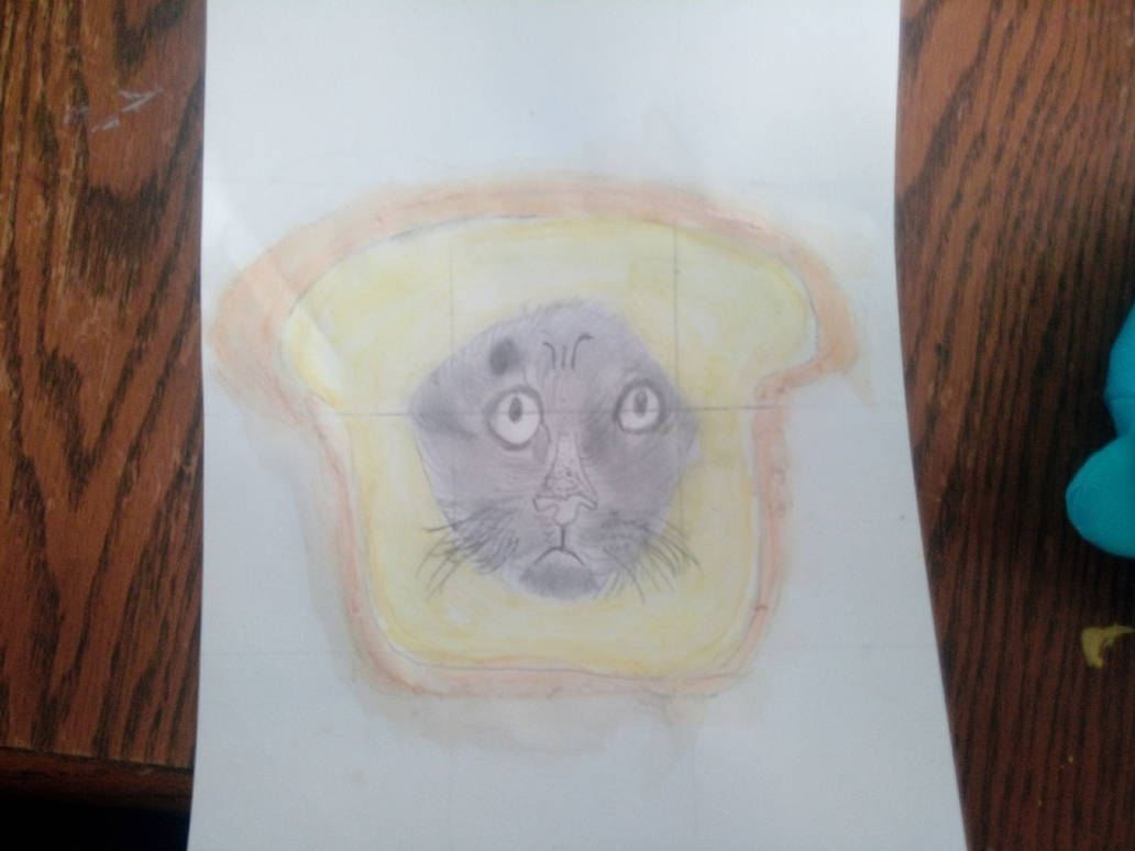 Pan cat by Maxfiresmash on DeviantArt