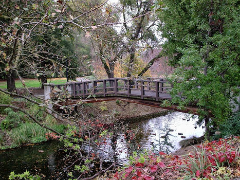 Arboretum Bridge